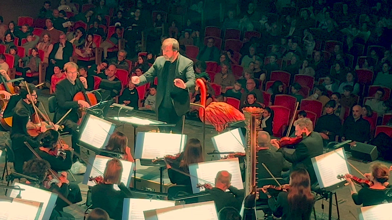 Antwerp Symphony Orchestra 2023 - Impressions